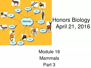 Honors Biology April 21, 2016