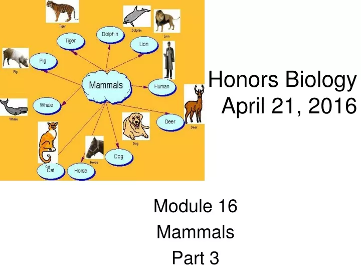 honors biology april 21 2016