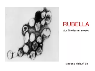 RUBELLA