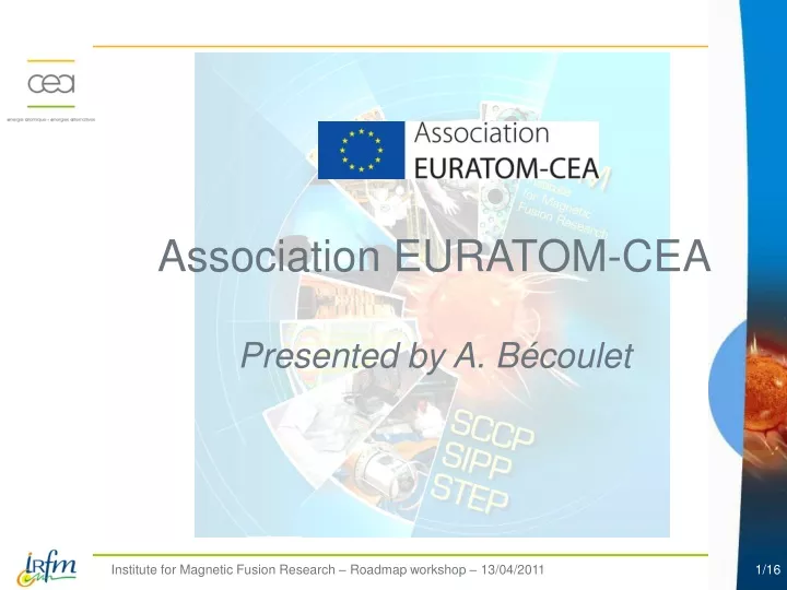 association euratom cea presented by a b coulet