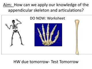 Aim:   How can we apply our knowledge of the appendicular skeleton and articulations?