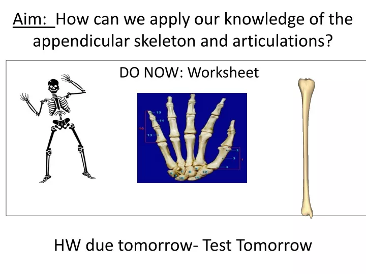 aim how can we apply our knowledge of the appendicular skeleton and articulations
