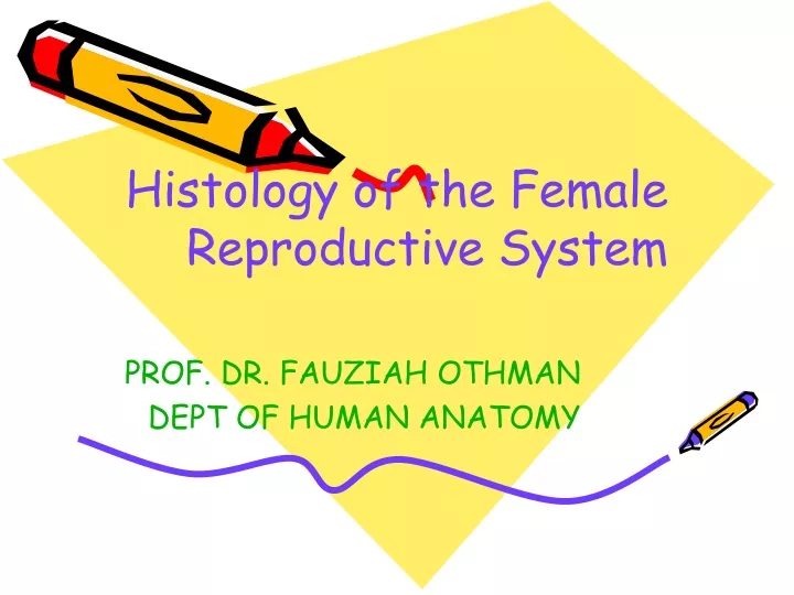 histology of the female reproductive system