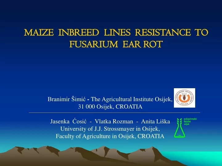 maize inbre e d lines resistance to fusarium ear rot