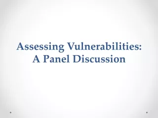 Assessing Vulnerabilities: A Panel Discussion