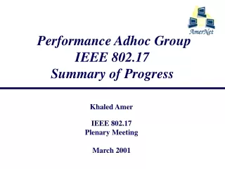 Performance Adhoc Group IEEE 802.17 Summary of Progress