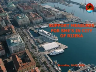 SUPPORT MEASURES FOR SME’S IN CITY OF RIJEKA Bruxelles, 28.05.2009.