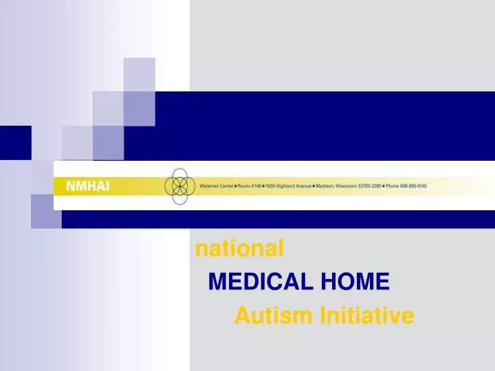 national medical home autism initiative