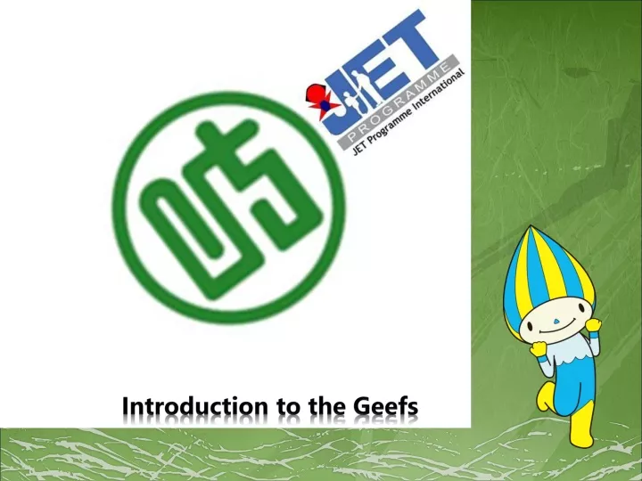 introduction to the geefs
