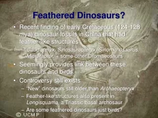 Feathered Dinosaurs?