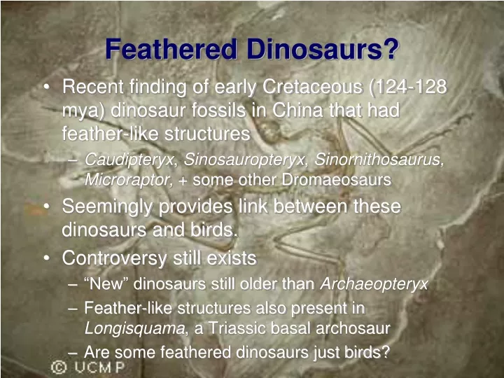 feathered dinosaurs