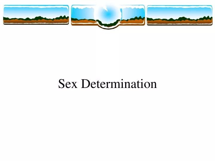 sex determination