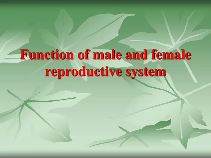 function of male and female reproductive system