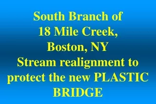 South Branch of  18 Mile Creek,  Boston, NY Stream realignment to protect the new PLASTIC BRIDGE
