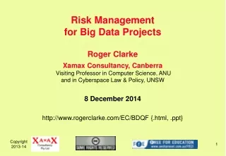 Risk Management for Big Data Projects