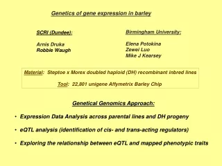 Genetics of gene expression in barley