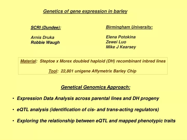 genetics of gene expression in barley