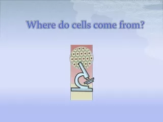 Where do cells come from?