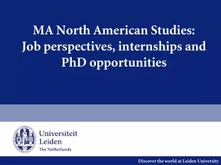 MA North American Studies: Job perspectives, internships and PhD opportunities