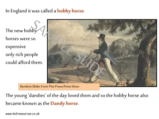 The new hobby horses were so expensive  only rich people could afford them.