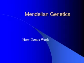 mendelian genetics