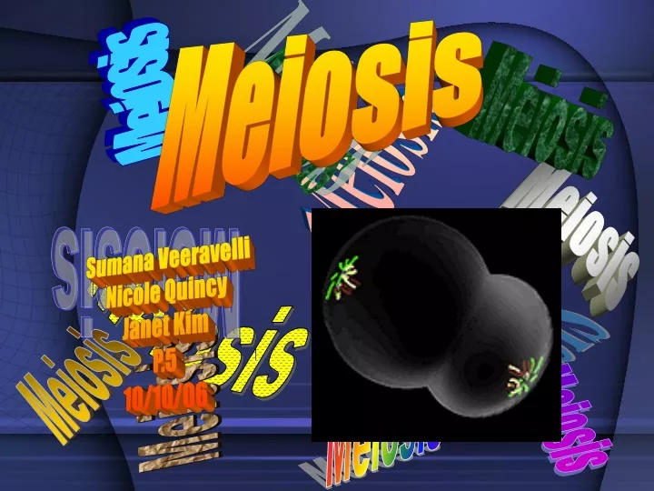 meiosis