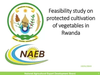 Feasibility study  on  protected  cultivation of  vegetables  in Rwanda