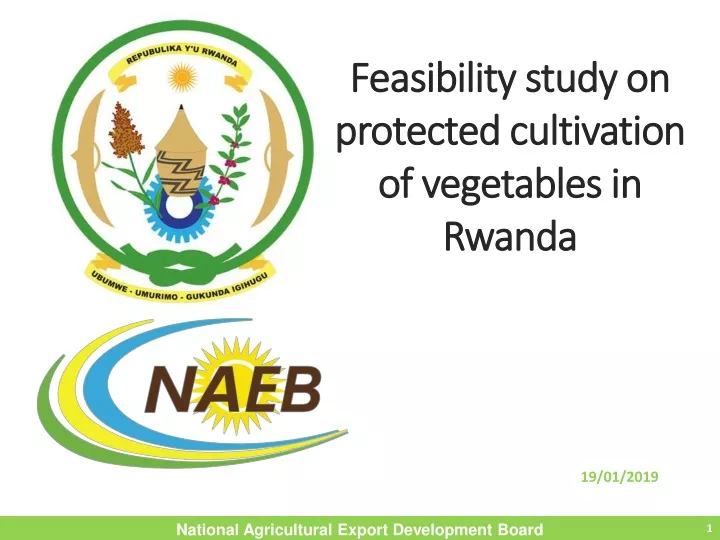 feasibility study on protected cultivation of vegetables in rwanda