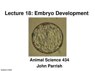 Lecture 18: Embryo Development