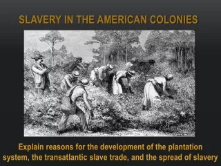 Slavery in the American colonies