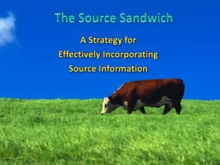 The Source Sandwich