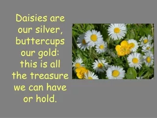 Daisies are  our silver, buttercups  our gold: this is all  the treasure we can have  or hold.