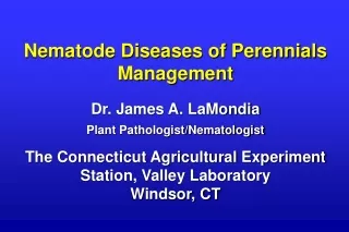 Nematode Diseases of Perennials Management Dr. James A. LaMondia  Plant Pathologist/Nematologist