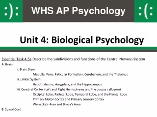 Unit 4: Biological Psychology