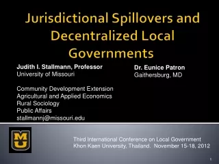Jurisdictional Spillovers and Decentralized Local Governments 