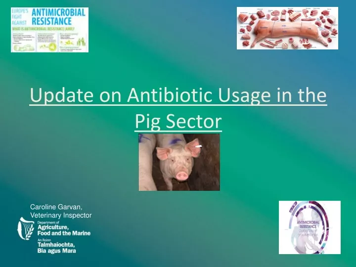 update on antibiotic usage in the pig sector