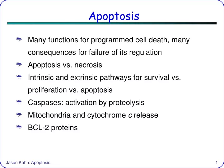 apoptosis
