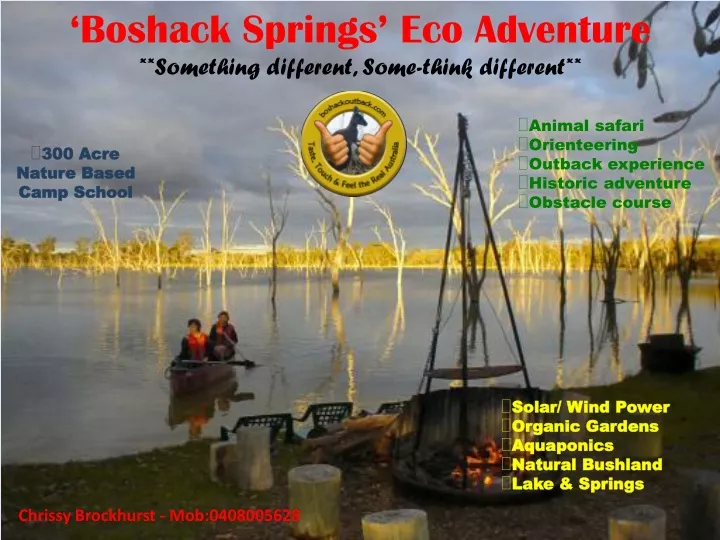 boshack springs eco adventure something different