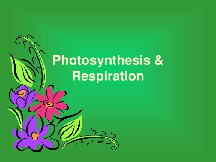 photosynthesis respiration