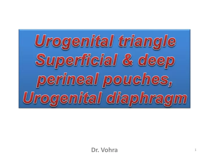 urogenital triangle superficial deep perineal
