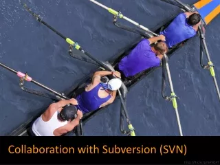 Collaboration with Subversion (SVN)