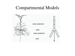 Compartmental Models