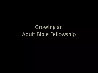 Growing an  Adult Bible Fellowship
