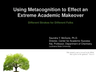 Using Metacognition to Effect an Extreme Academic Makeover Different Strokes for Different Folks