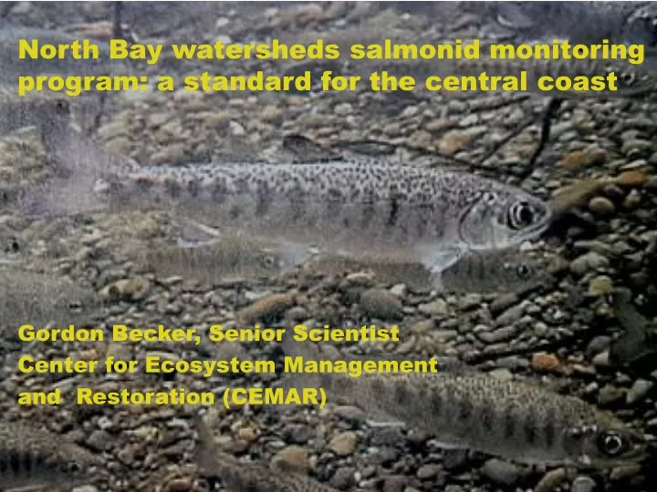 north bay watersheds salmonid monitoring program a standard for the central coast