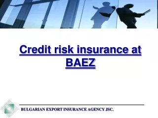 BULGARIAN EXPORT INSURANCE AGENCY JSC.