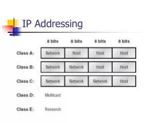 IP Addressing