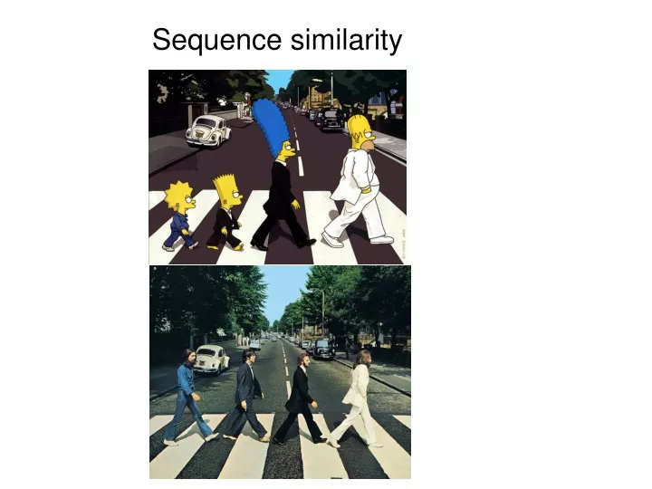 sequence similarity