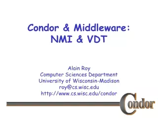 Condor &amp; Middleware: NMI &amp; VDT