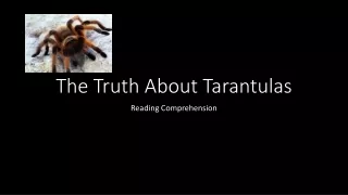 The Truth About Tarantulas